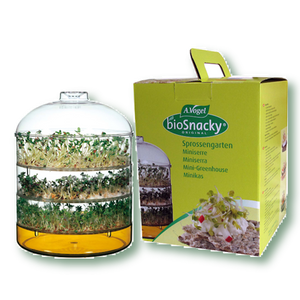 Sprouts
