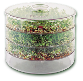 Biosnacky Original Seed Sprouter Teros