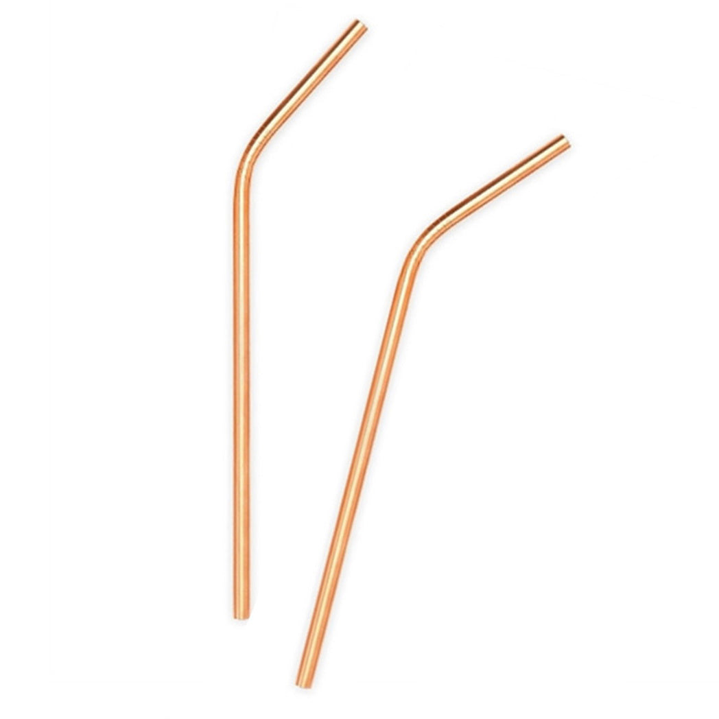 Ever Eco Stainless Steel Straw Bent