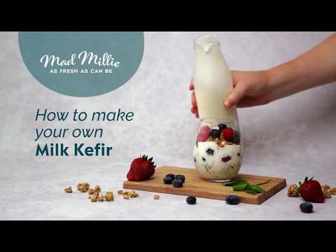 Mad Millie Kefir Kit