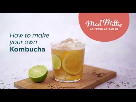 Mad Millie Kombucha Kit