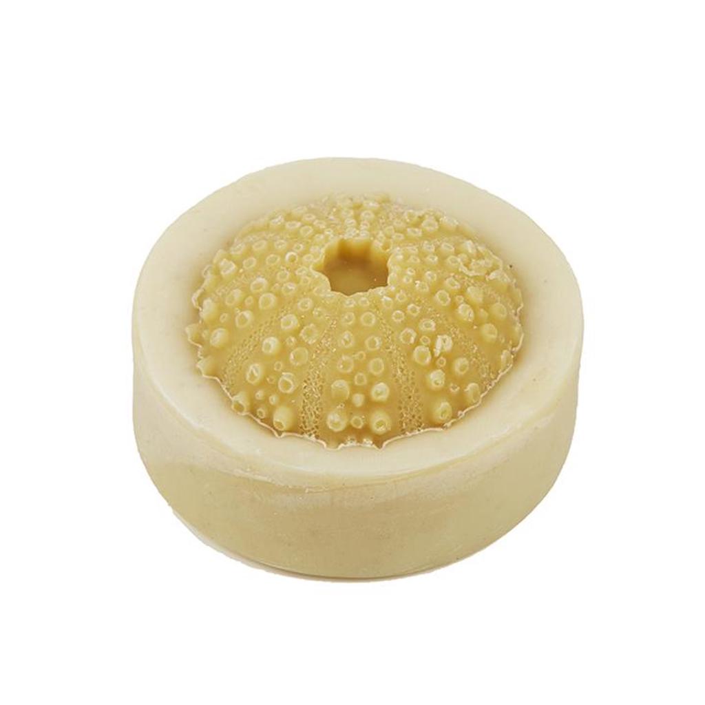 Dindi Naturals Soap Shell